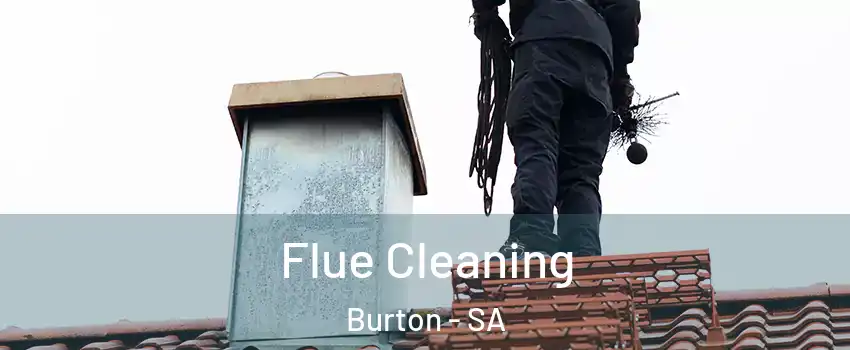Flue Cleaning Burton - SA