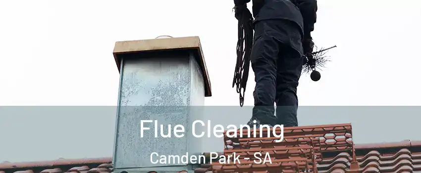  Flue Cleaning Camden Park - SA