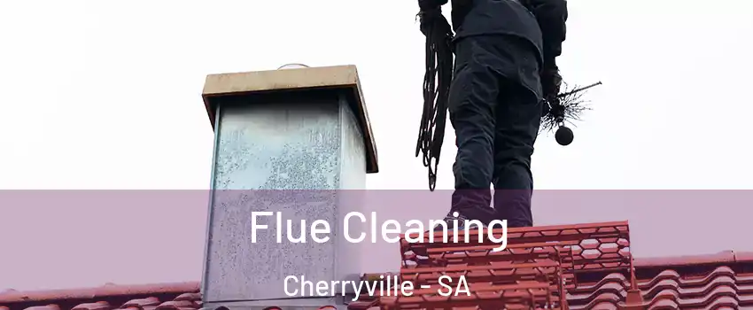  Flue Cleaning Cherryville - SA