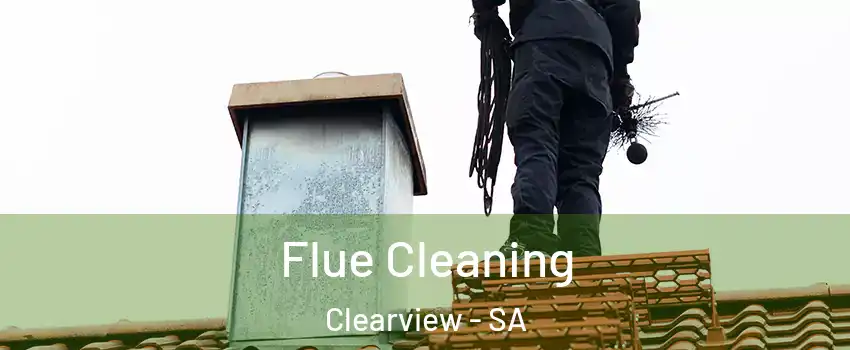 Flue Cleaning Clearview - SA