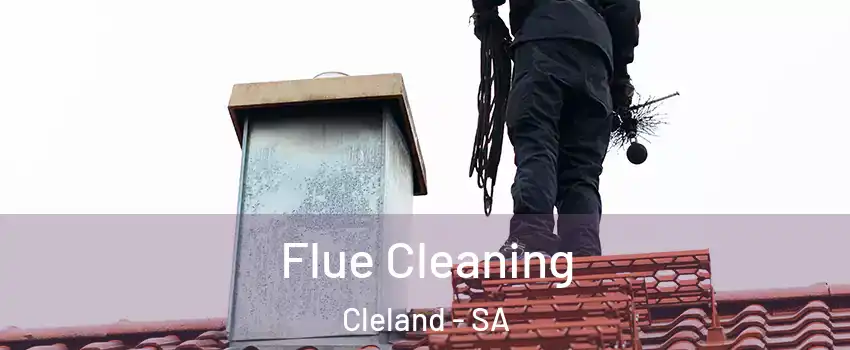  Flue Cleaning Cleland - SA