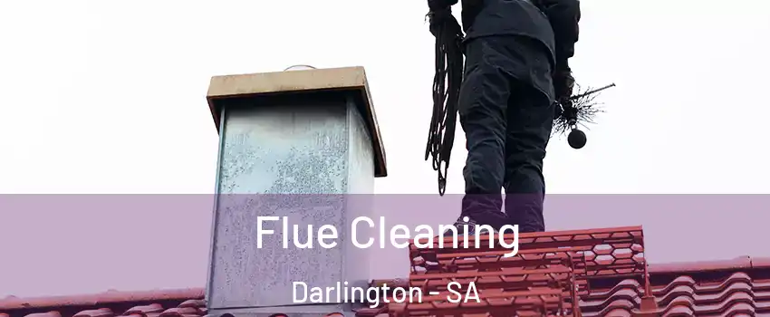 Flue Cleaning Darlington - SA