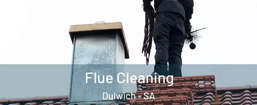  Flue Cleaning Dulwich - SA