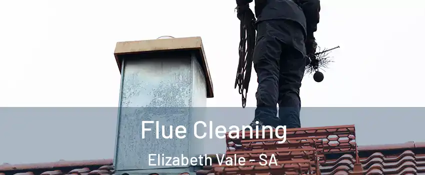  Flue Cleaning Elizabeth Vale - SA