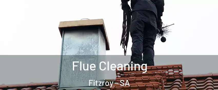  Flue Cleaning Fitzroy - SA