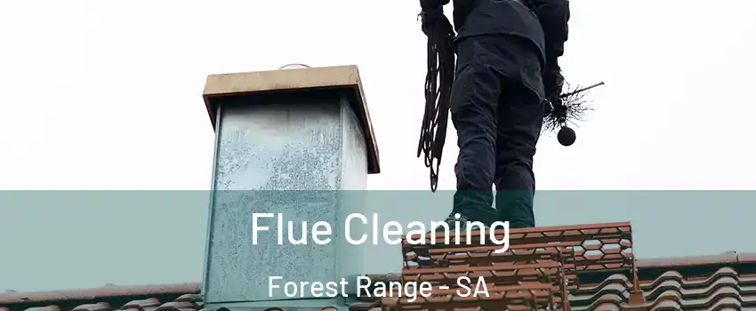 Flue Cleaning Forest Range - SA