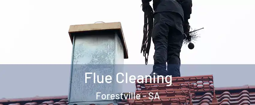 Flue Cleaning Forestville - SA