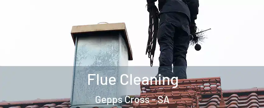  Flue Cleaning Gepps Cross - SA