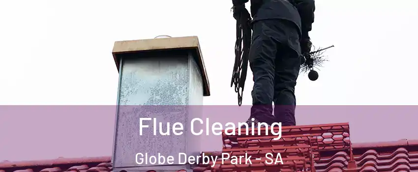Flue Cleaning Globe Derby Park - SA