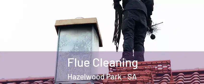 Flue Cleaning Hazelwood Park - SA