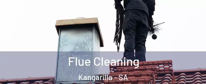  Flue Cleaning Kangarilla - SA