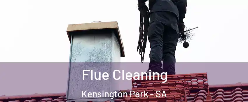 Flue Cleaning Kensington Park - SA