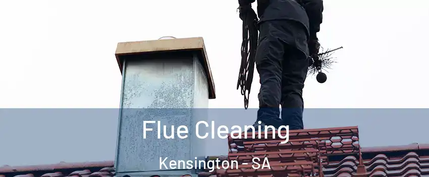 Flue Cleaning Kensington - SA