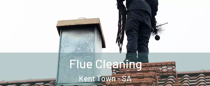 Flue Cleaning Kent Town - SA