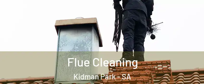 Flue Cleaning Kidman Park - SA