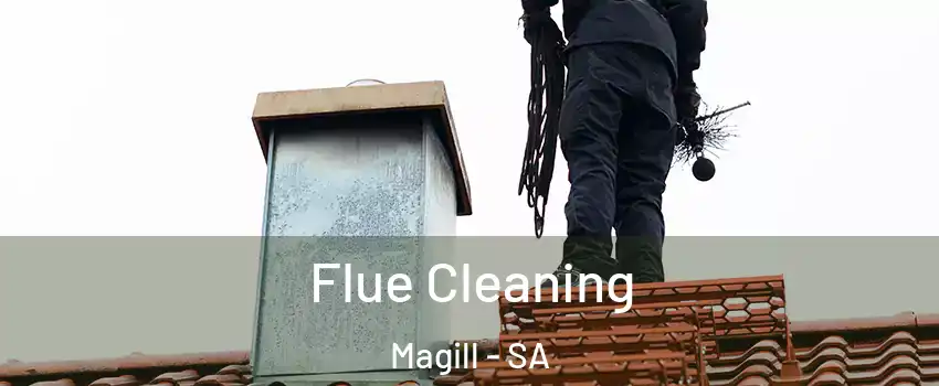 Flue Cleaning Magill - SA
