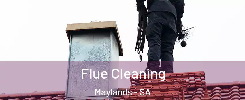 Flue Cleaning Maylands - SA