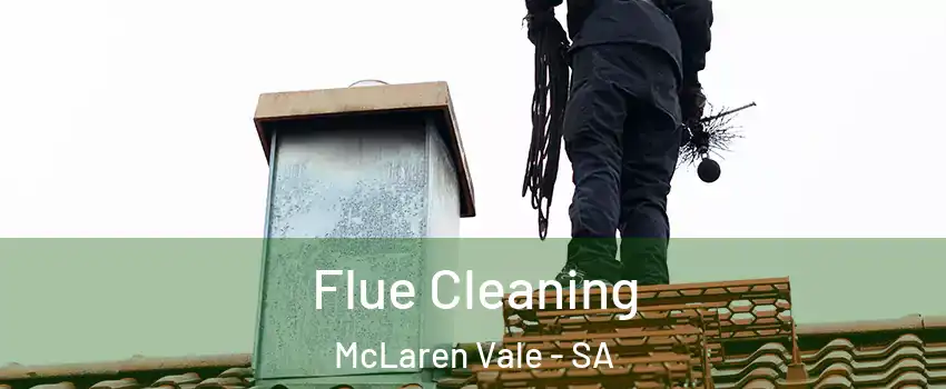Flue Cleaning McLaren Vale - SA