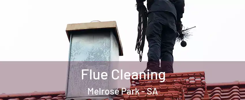 Flue Cleaning Melrose Park - SA