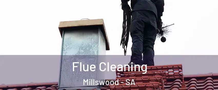 Flue Cleaning Millswood - SA