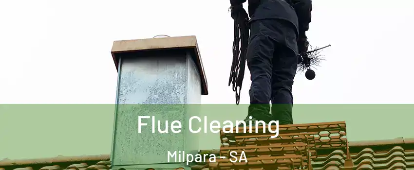 Flue Cleaning Milpara - SA