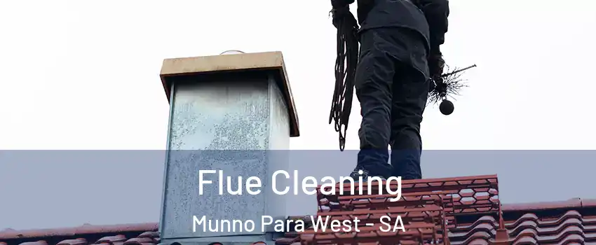 Flue Cleaning Munno Para West - SA