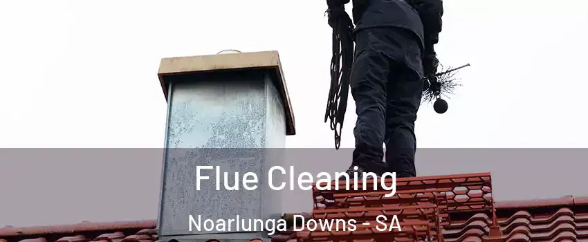 Flue Cleaning Noarlunga Downs - SA