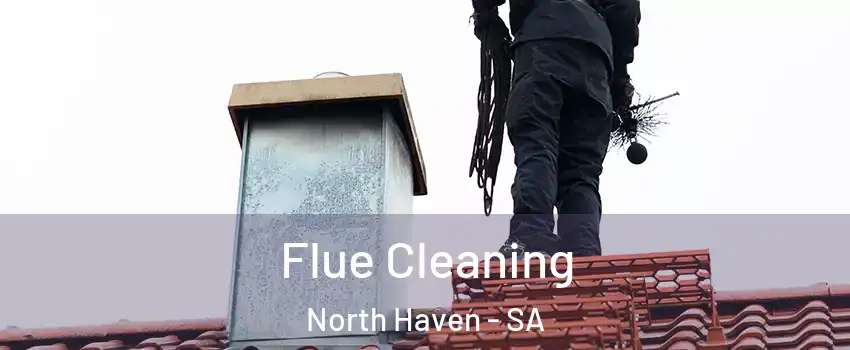 Flue Cleaning North Haven - SA