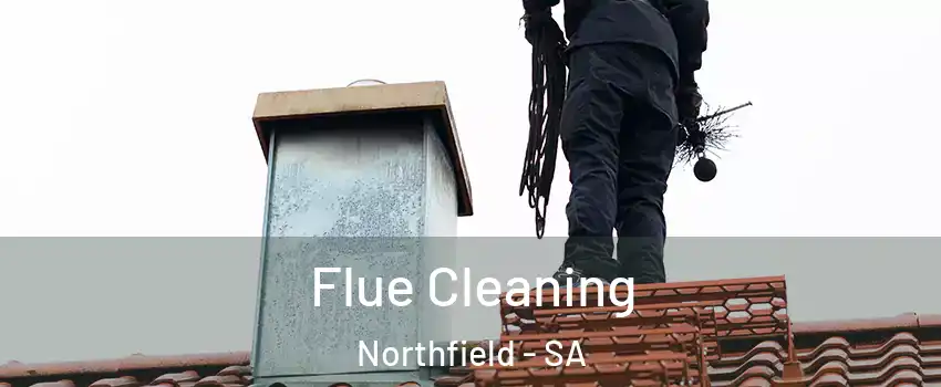 Flue Cleaning Northfield - SA