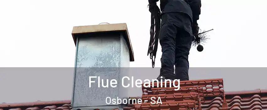 Flue Cleaning Osborne - SA