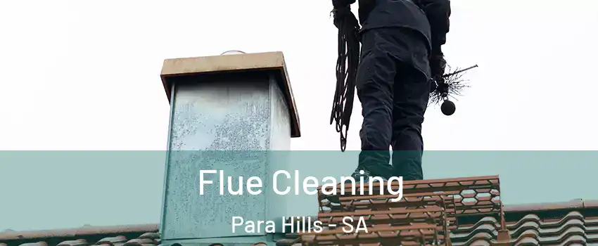 Flue Cleaning Para Hills - SA