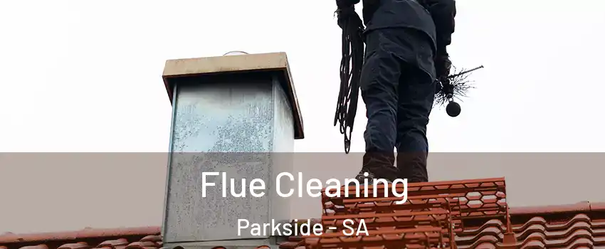 Flue Cleaning Parkside - SA