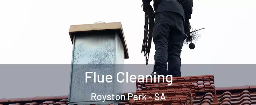 Flue Cleaning Royston Park - SA