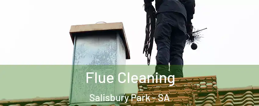 Flue Cleaning Salisbury Park - SA