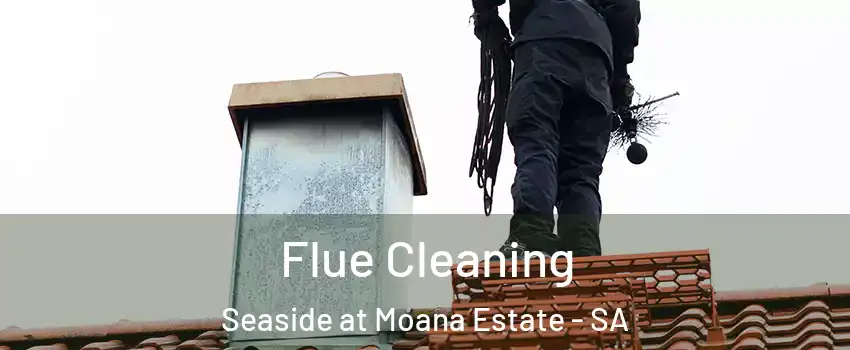 Flue Cleaning Seaside at Moana Estate - SA