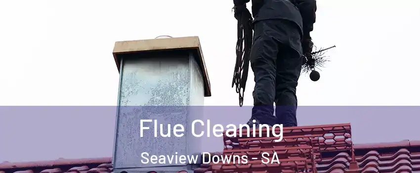 Flue Cleaning Seaview Downs - SA