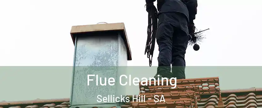 Flue Cleaning Sellicks Hill - SA