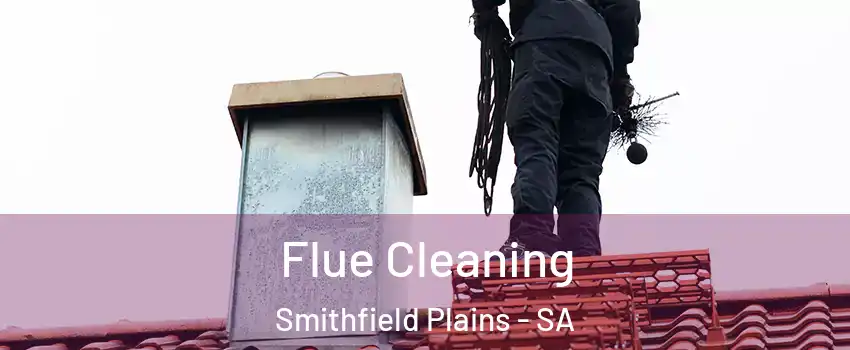 Flue Cleaning Smithfield Plains - SA