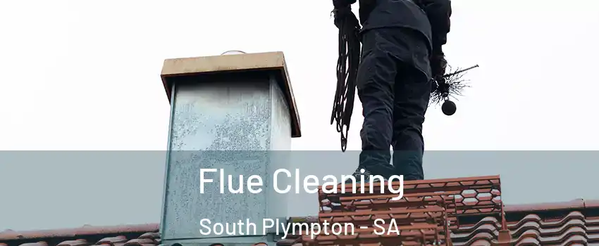 Flue Cleaning South Plympton - SA