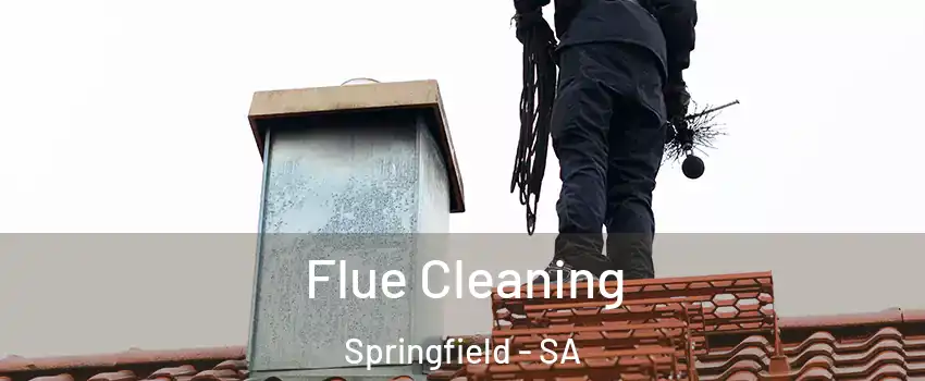 Flue Cleaning Springfield - SA