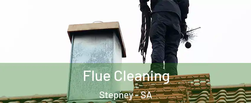 Flue Cleaning Stepney - SA