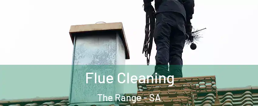Flue Cleaning The Range - SA