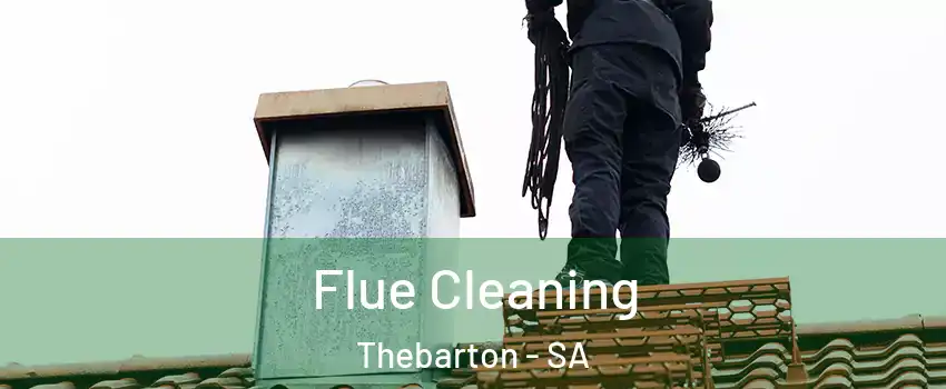 Flue Cleaning Thebarton - SA
