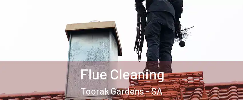 Flue Cleaning Toorak Gardens - SA