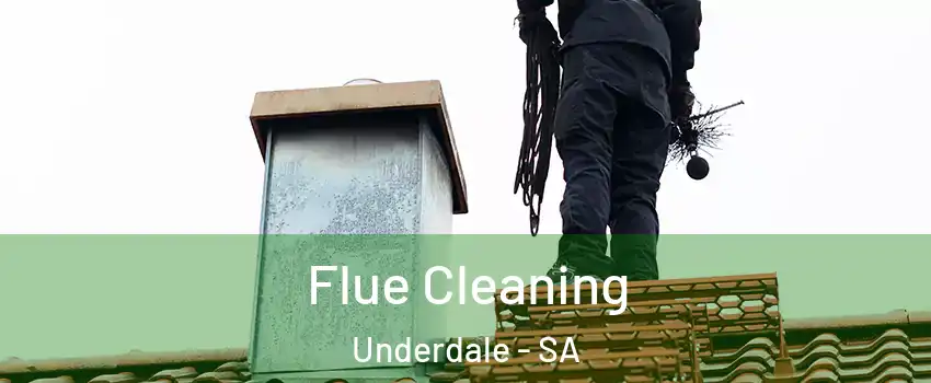 Flue Cleaning Underdale - SA