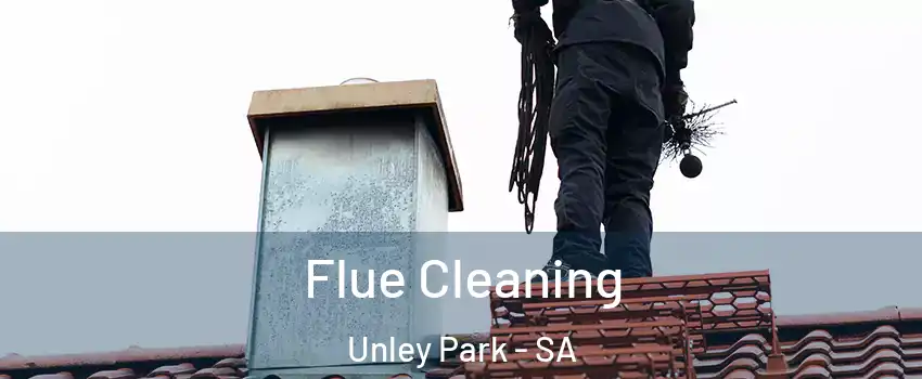 Flue Cleaning Unley Park - SA