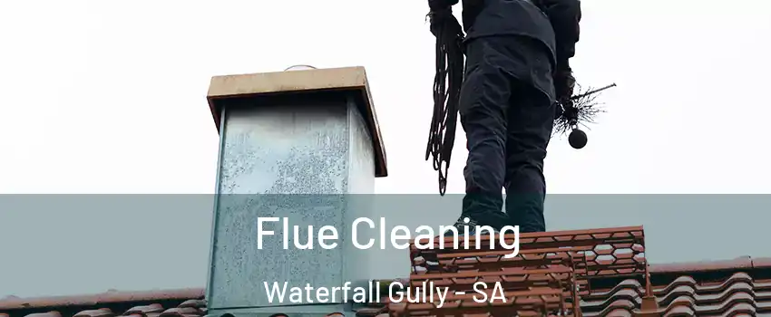 Flue Cleaning Waterfall Gully - SA