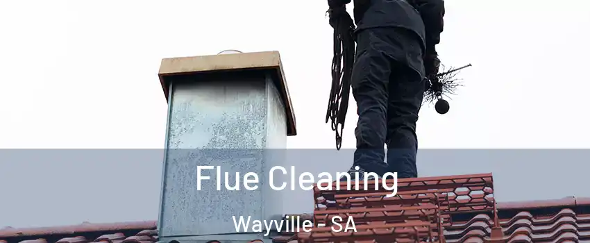 Flue Cleaning Wayville - SA