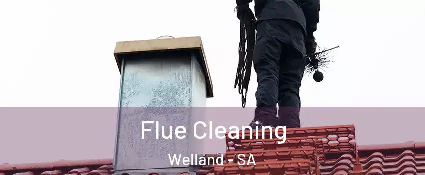 Flue Cleaning Welland - SA