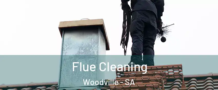  Flue Cleaning Woodville - SA